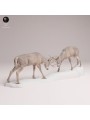 White-tailed Deer Fighting Resin Scene | North American Wildlife Diorama
