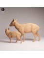 Pudu Doe with Fawn Resin Scene | South American Wildlife Diorama