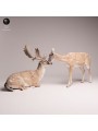 European Fallow Deer Pair Resin Scene | European Wildlife Diorama