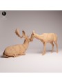 European Fallow Deer Pair Resin Scene | European Wildlife Diorama