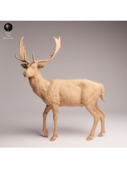 Gamo Europeo en Resina | Miniatura de Fauna Europea Realista