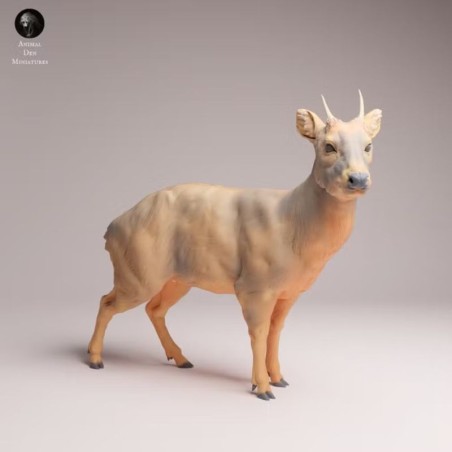 Ciervo Pudú en Resina | Miniatura de Fauna Sudamericana