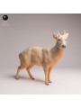 Pudu Deer Resin Miniature | South American Wildlife Figur