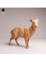 Pudu Deer Resin Miniature | South American Wildlife Figur