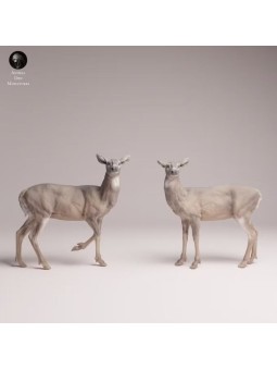 White-tailed Deer Does Resin Scene | Naturalistic Forest Diorama