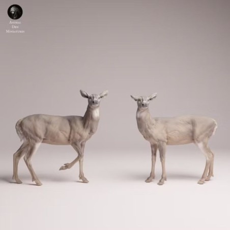 White-tailed Deer Does Resin Scene | Naturalistic Forest Diorama