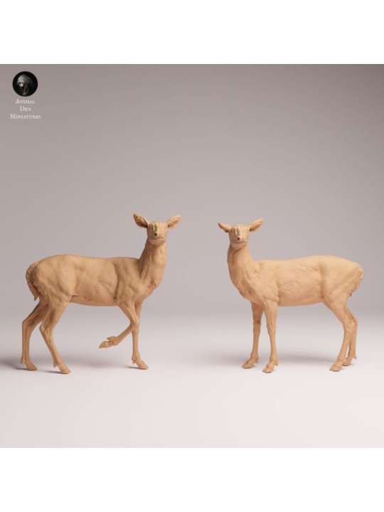 White-tailed Deer Does Resin Scene | Naturalistic Forest Diorama