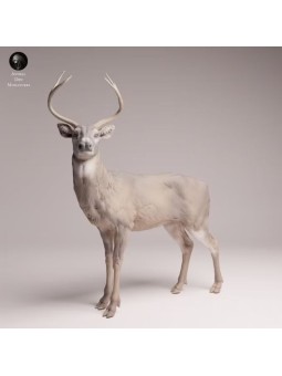 Ciervo de Cola Blanca | Miniatura de Fauna Norteamericana en Resina