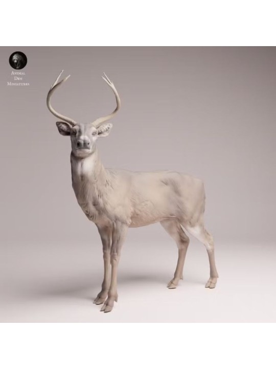 White-tailed Deer | North American Wildlife Resin Miniature