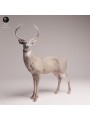 Ciervo de Cola Blanca | Miniatura de Fauna Norteamericana en Resina