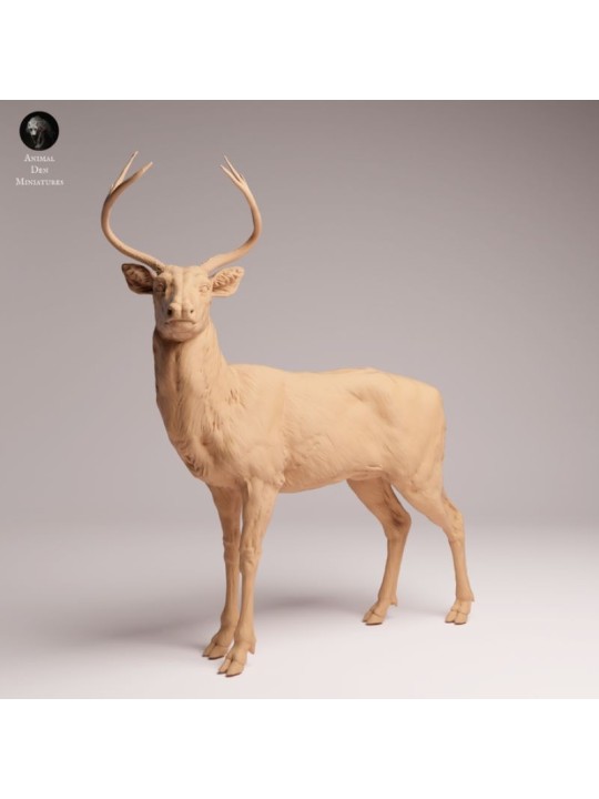 Ciervo de Cola Blanca | Miniatura de Fauna Norteamericana en Resina