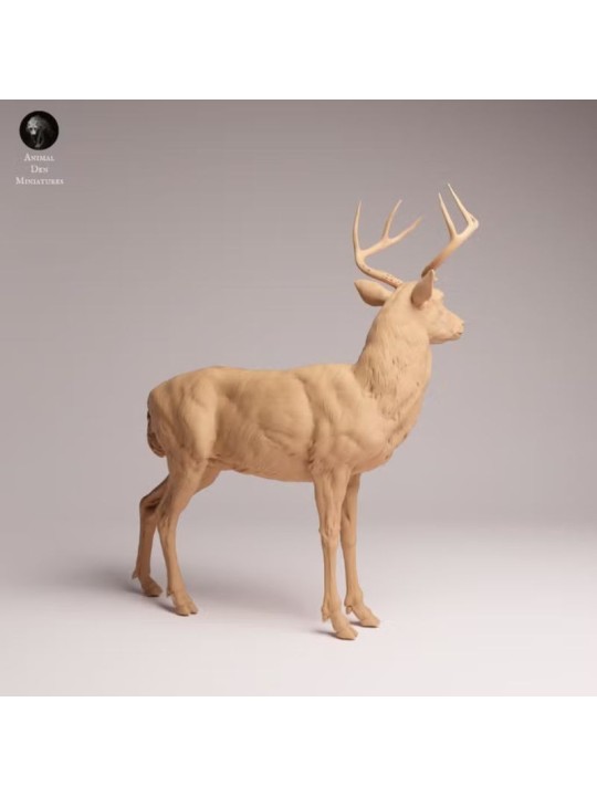 Ciervo de Cola Blanca | Miniatura de Fauna Norteamericana en Resina
