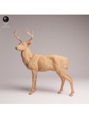White-tailed Deer | North American Wildlife Resin Miniature