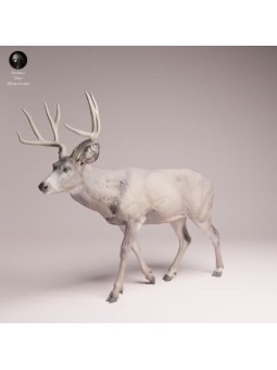 Walking Mule Deer | North American Wildlife Resin Miniature