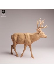 Ciervo Mulo Caminando | Miniatura de Fauna Norteamericana en Resina