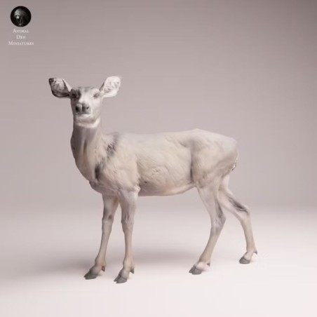 Female Mule Deer | North American Wildlife Resin Miniature