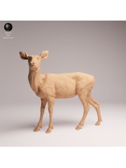 Female Mule Deer | North American Wildlife Resin Miniature