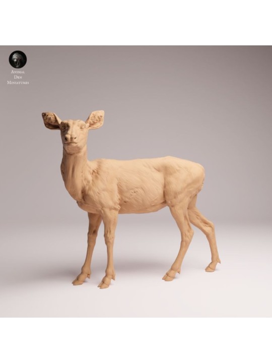 Ciervo Mulo Hembra | Miniatura de Fauna Norteamericana en Resina