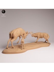 Ciervo Mulo vs Lobo Gris en Resina | Escena Naturalista de Fauna Norteamericana